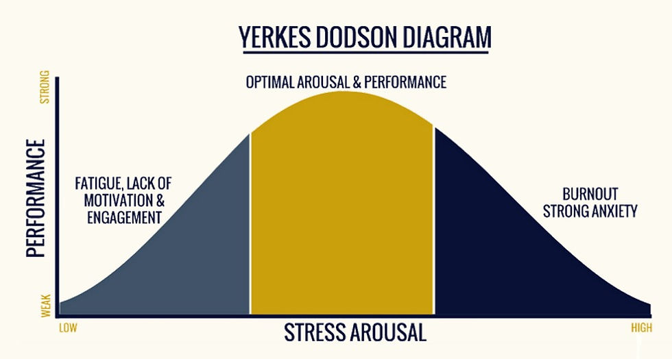 Yerkes Dodson Diagram