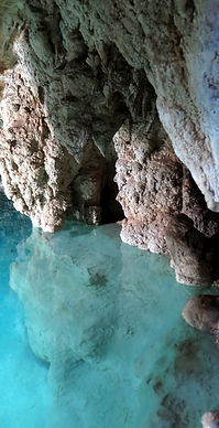 IMG_4995_edited.jpg
