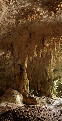 IMG_4150_edited.jpg