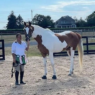 North Fork Equestrian at Old Filed Schooling Show in Puddle Jumpers, Special Hunter, and Cross Rail Hunters