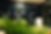 Qiox-Partner-Event-21-min.png