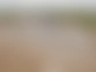 See the construction progress of the upcoming manufacturing facilities