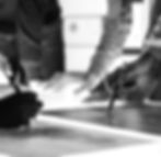Low Code Development_IT Services_Reiz Tech