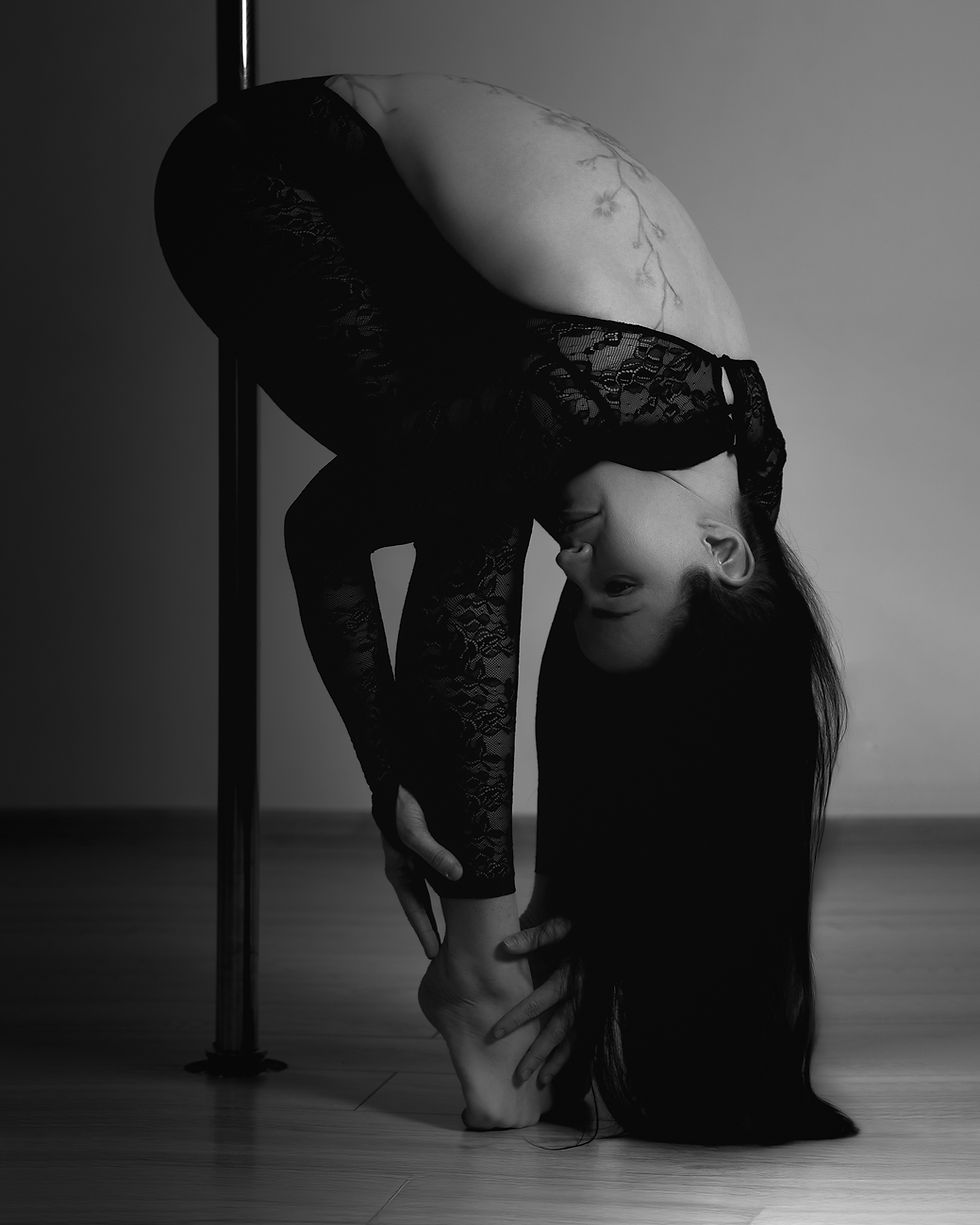 Intro kursai_Pole dance Flame namai Vilnius