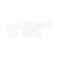 SWG1_edited.png