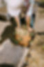 SecuringSafeFood_Commonpoint_250430_672.jpg