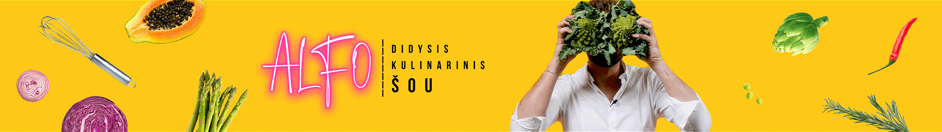 VMGonline Kurso taisyklės