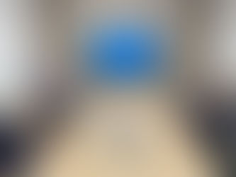 BMI Alumni community visited INVL Asset Management