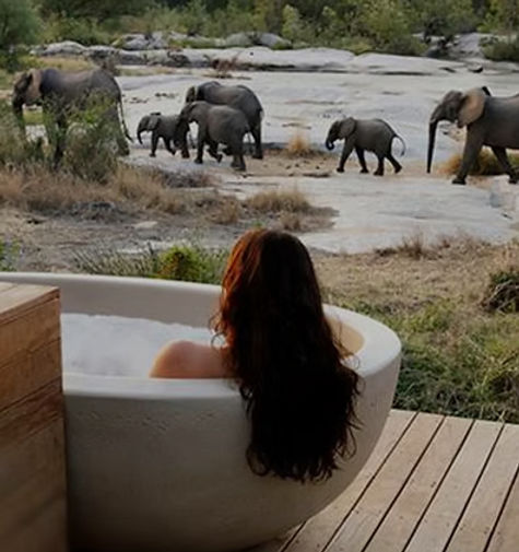 honeymoonkenya_edited.jpg