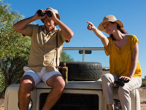 Tanzania wildlife safari featuring elephants and iconic African wildlife