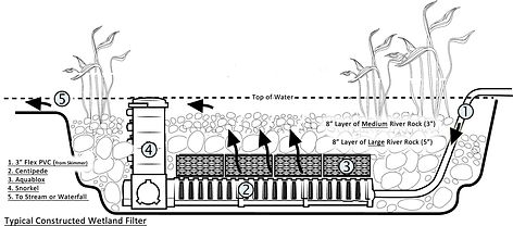 constructed-wetland-filter-sketch-snorkel-centipede-scaled.jpg