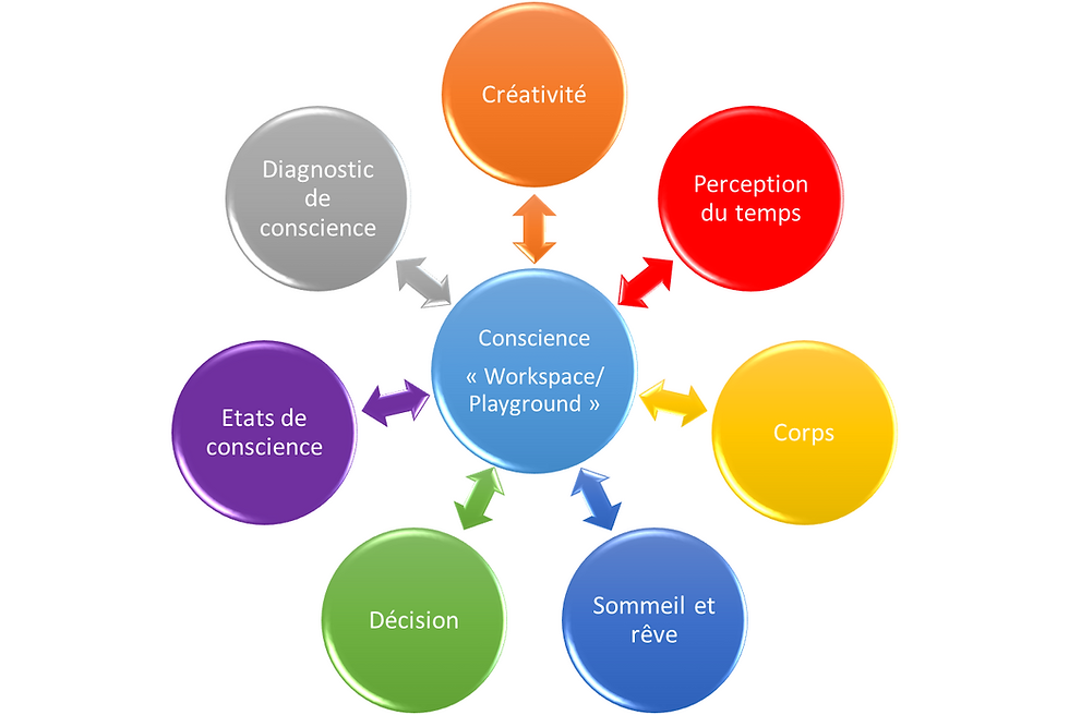 ERC Kick-off : Consciousness & Cognition