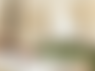 Inside Le Bristol Paris - a Century of The Art of Gastronomic Excellence