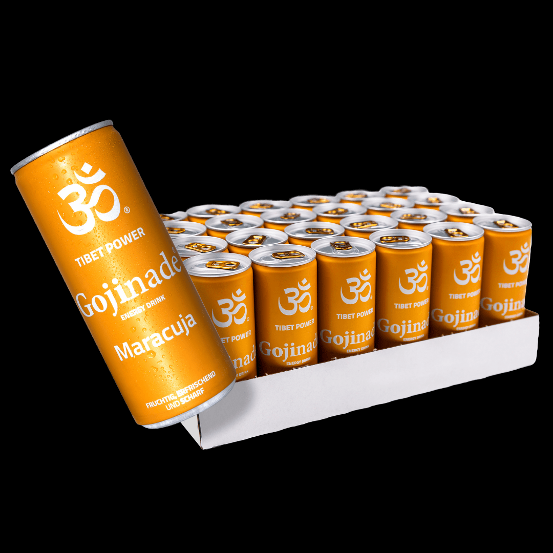 GOJINADE Maracuja 24 Dosen