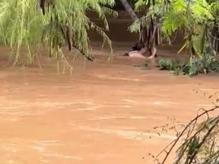 Ação rápida do 56º Batalhão salva mulher arrastada pela correnteza do rio Sapucaí em Itajubá
