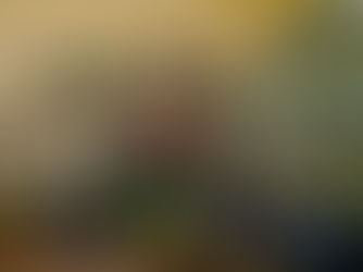 Atleta itajubense de fisiculturismo conquista Top 1 em categorias