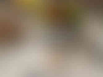 Remington Rebuilds Open House in Altadena