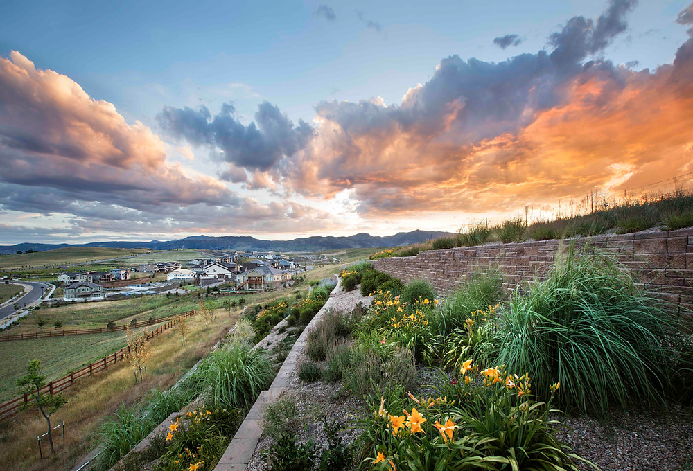 Arvada Reopens and Homebuyers are Ready!