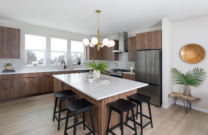 New Homes in Morrison by Remington Homes