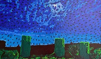 Sylvain Latendresse.webp