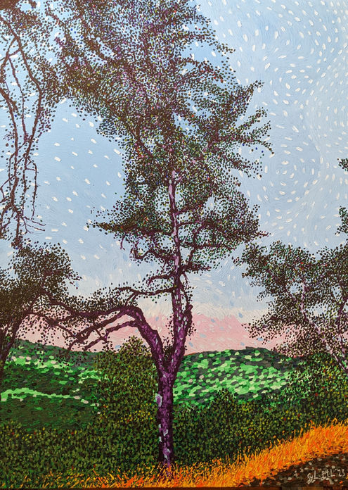 Tree, sky, landscape, Paso Robles