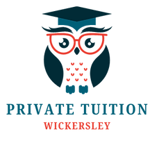 Colorful Illustrative Childish Kids Owl Bird Logo.png