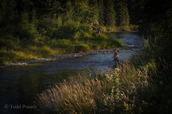 Angling the Crowsnest