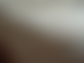 Guide complet pour traiter les punaises de lit