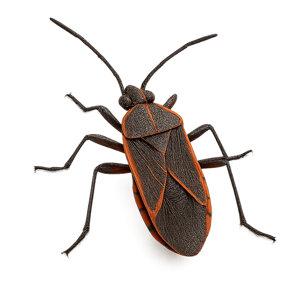 ChatGPT Image 15 nov. 2025, 19 h 04 min 30 s.png