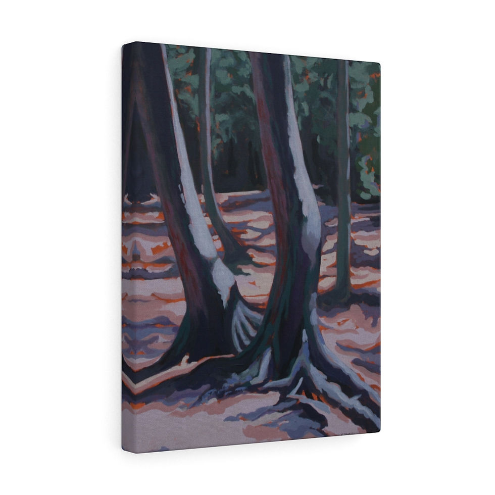 Thumbnail: Cyprus Lake Cedars