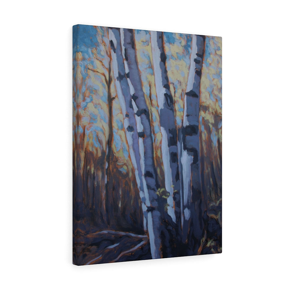 Thumbnail: Hilton Falls Birches