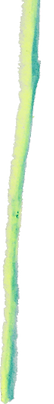 line-neon.png
