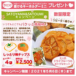 バナー_柿４個セット.jpeg