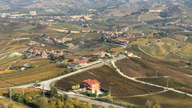 “The Quest for the Holy Barolo” - Part 1