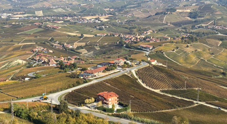 “The Quest for the Holy Barolo” - Part 1