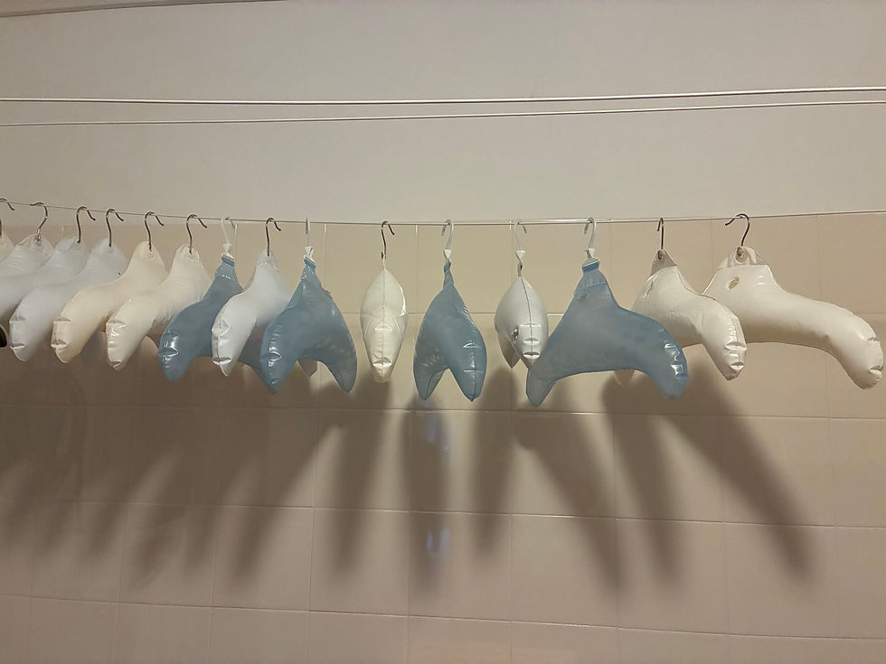 In the shared utility room