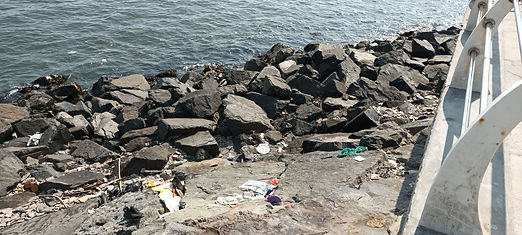 BAHIA CONTAMINADA.jpg