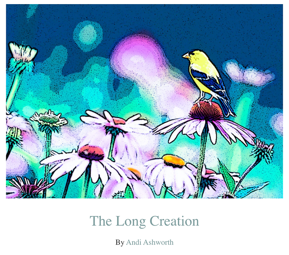 Screenshot 2025-01-21 at 11.12.18 AM.png