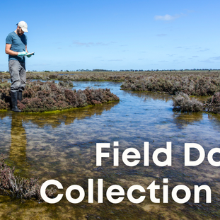 What is Field Data Collection?