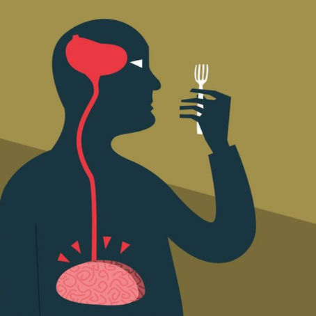 Gut-Brain Nutrition advice you will understand.