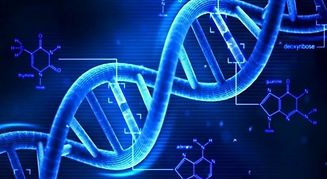 Capture d’écran 2019-07-10 à 17.17.15.pn