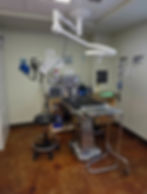 Surgical procedures, veterinary surgery, sterile surgery