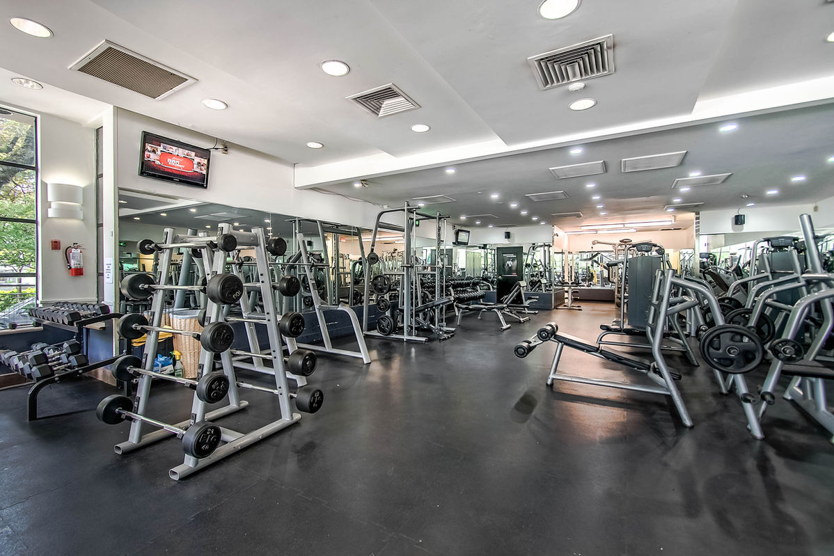 Weightlifting Vancouver Gym Near Me Olympus Fitness Centre