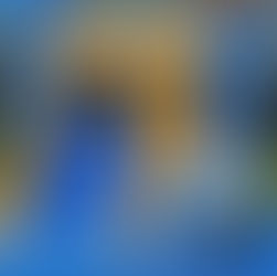 Blue & Yellow Combo Slide