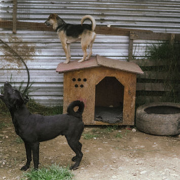 DSC00445.JPG
