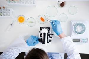 Petri Dishes