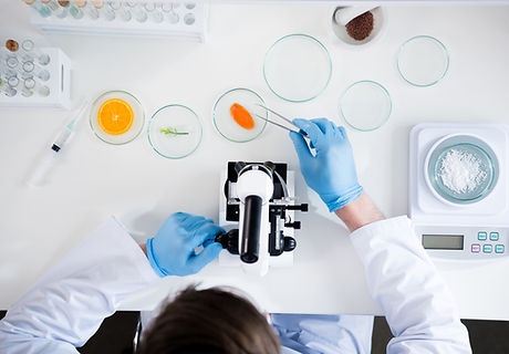 Petri Dishes