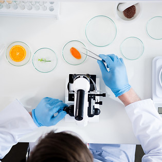 Laboratory Experiment Setup