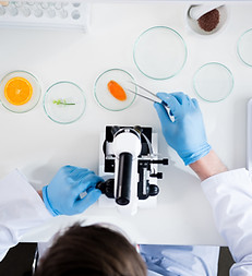Petri Dishes