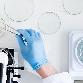 Petri Dishes